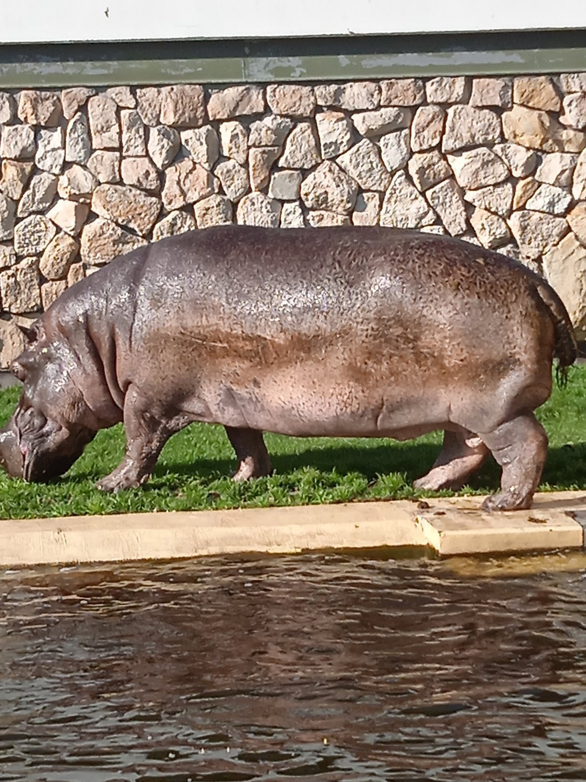 Warsaw Zoo, Варшава: лучшие советы перед посещением - Tripadvisor