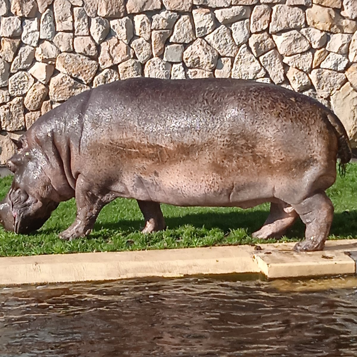 Warsaw Zoo, Варшава: лучшие советы перед посещением - Tripadvisor