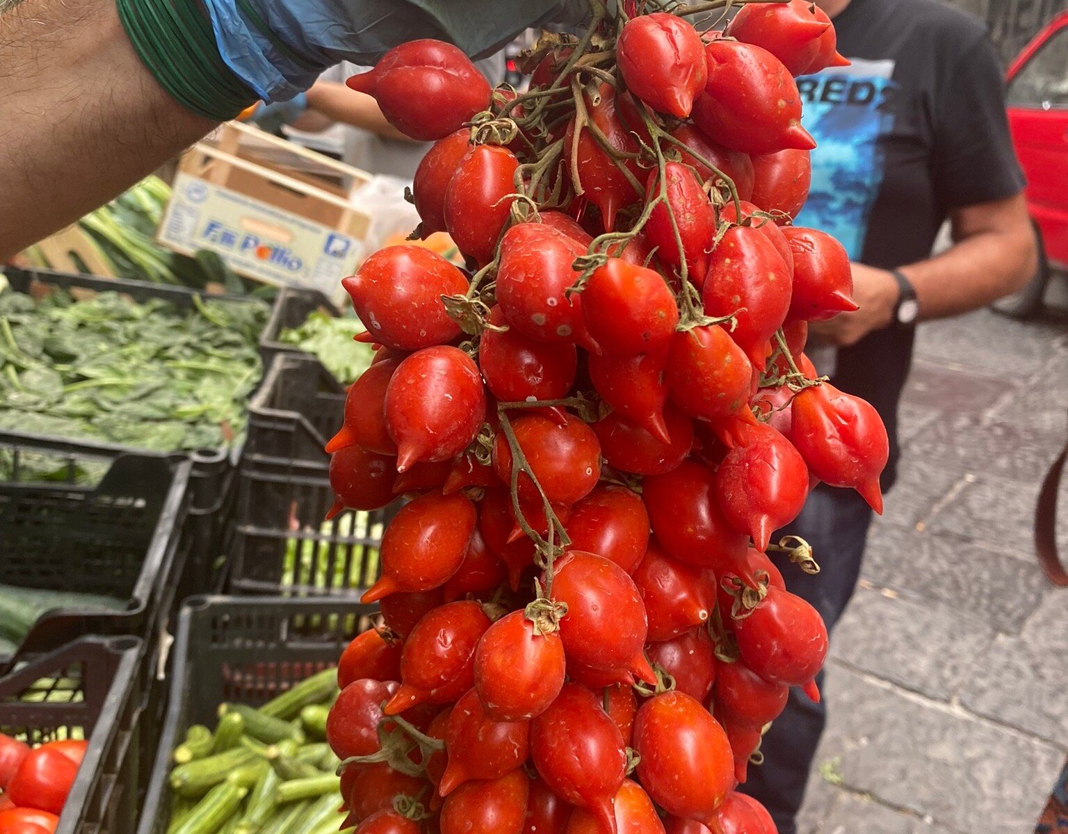 Culinary Backstreets Walks (Naples) - All You Need to Know BEFORE You Go