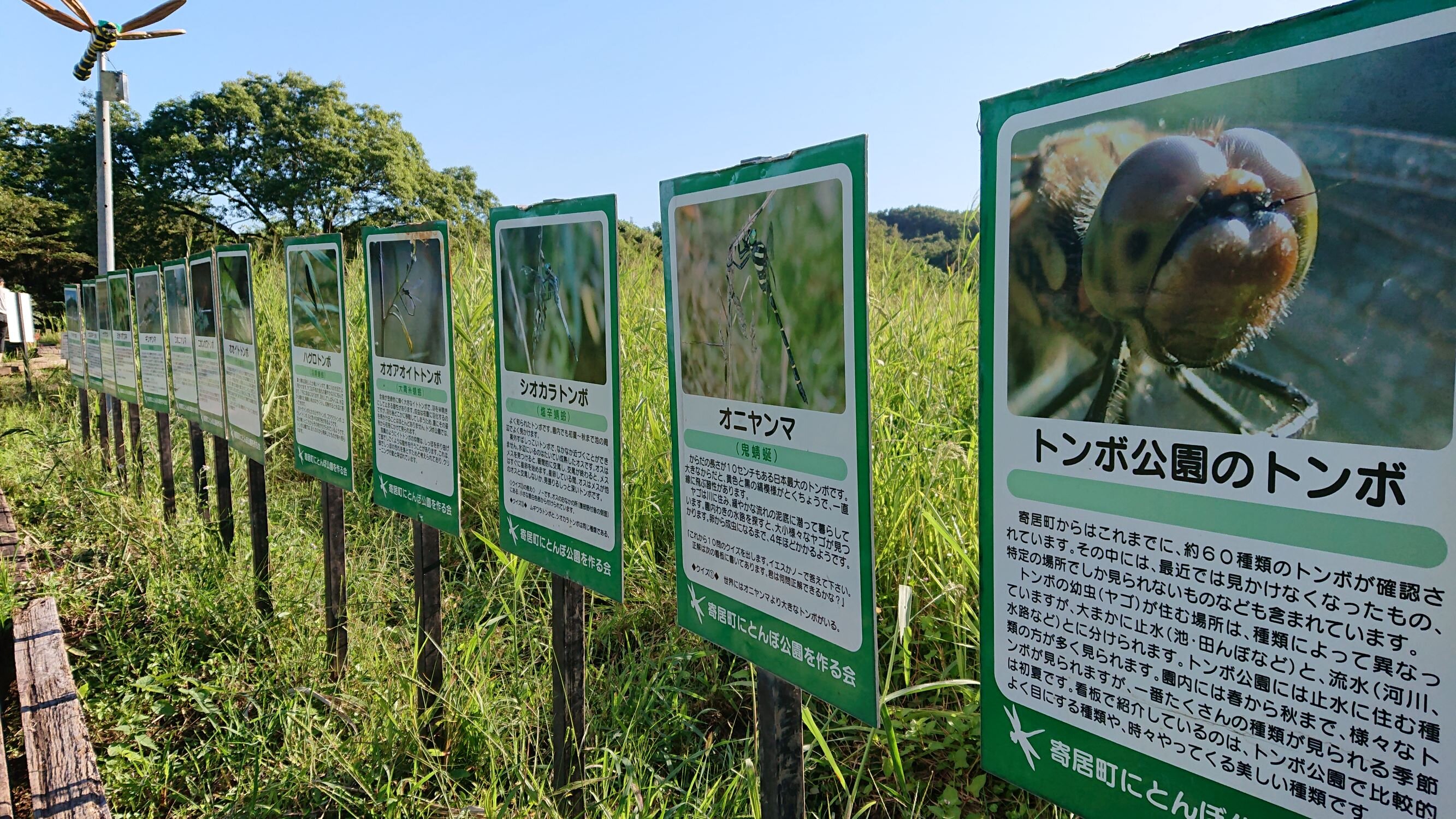 2024年 おぶすまトンボの里公園 - 出発前に知っておくべきことすべて - トリップアドバイザー