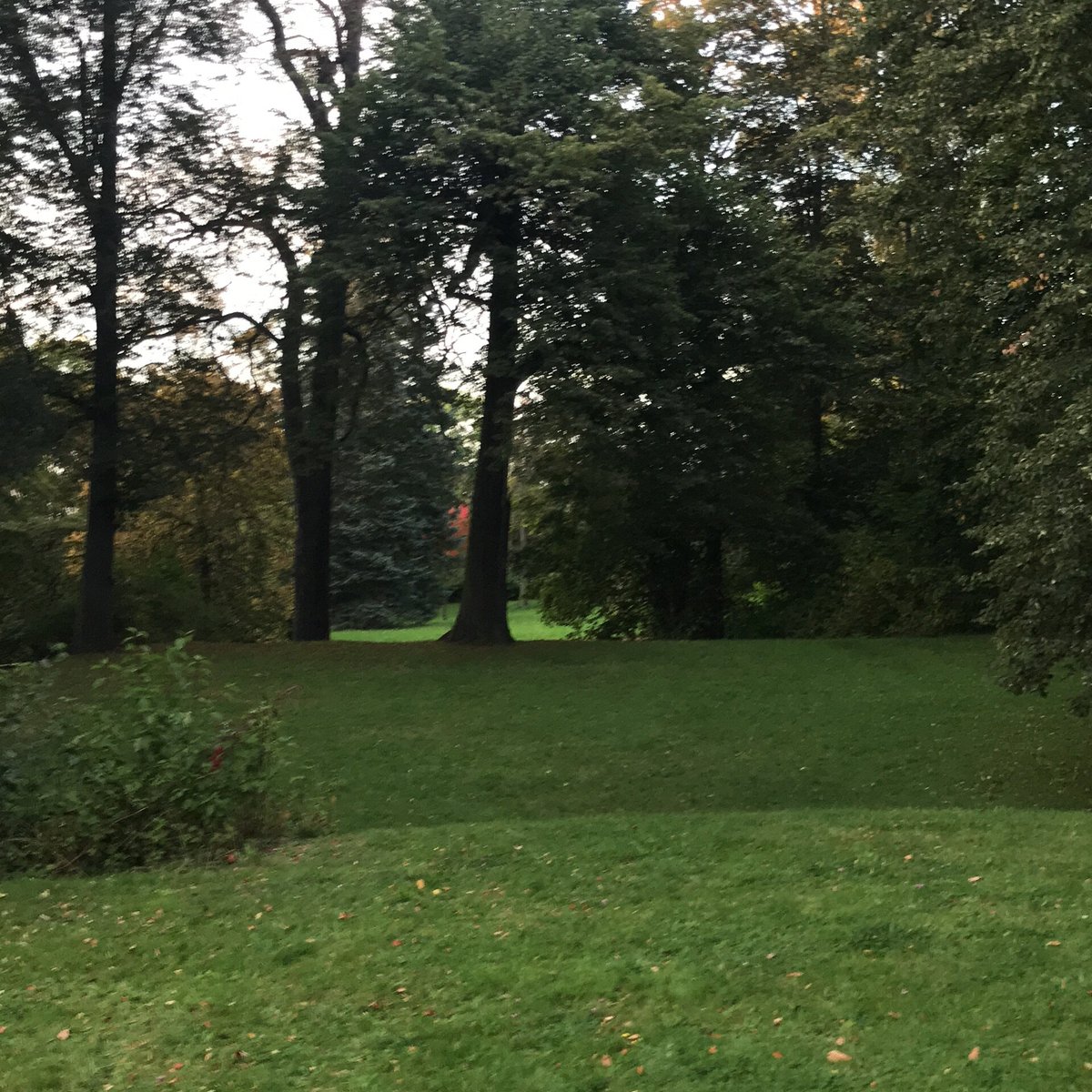 Schloßpark (Zwickau) Aktuelle 2021 Lohnt es sich? (Mit fotos