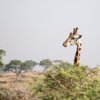 Kabira Safaris & Tours Ltd