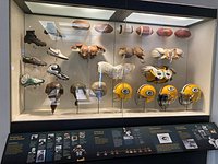 GREEN BAY PACKERS HALL OF FAME - 296 Photos & 43 Reviews - 1265