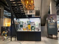 GREEN BAY PACKERS HALL OF FAME, 296 Photos & 43 Reviews