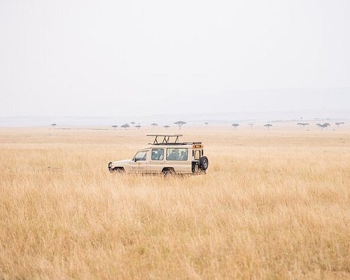 safaris kenia diani beach