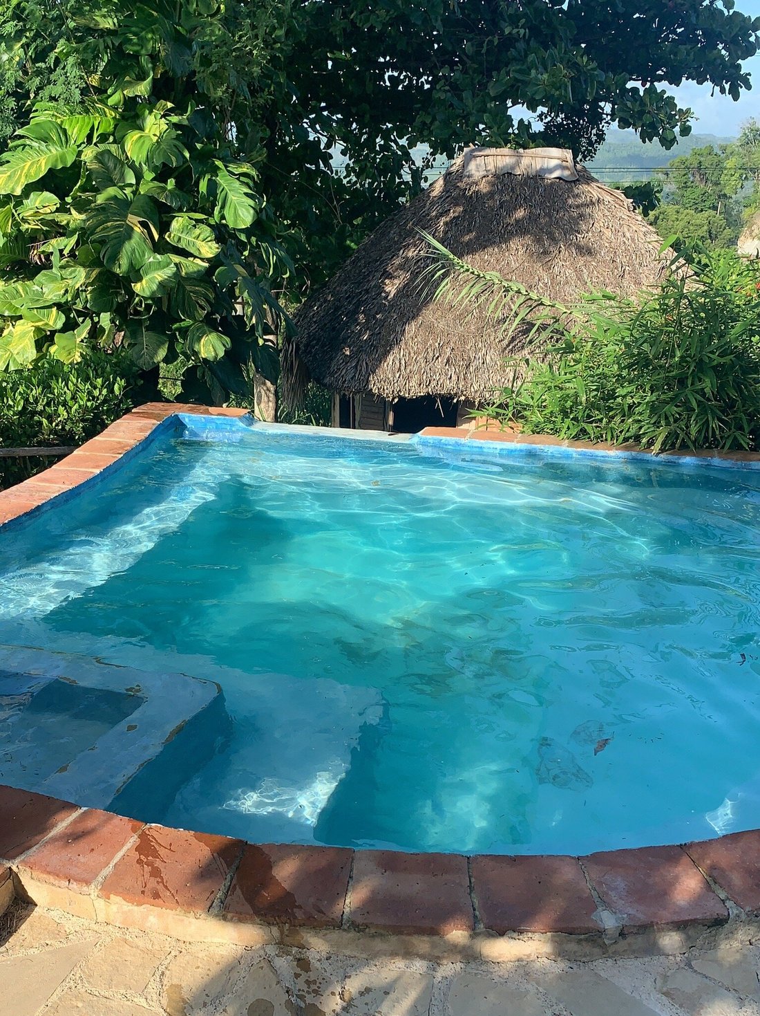 tubagua-ecolodge-puerto-plata-lodge-reviews-photos-rate