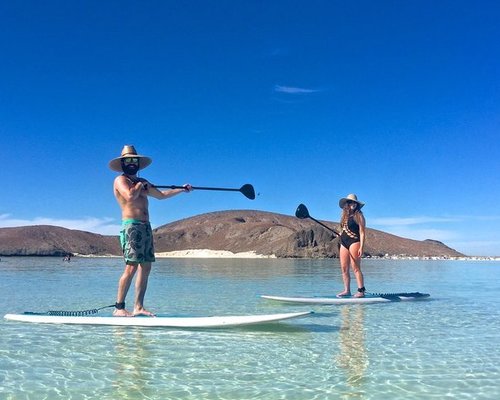 THE 5 BEST La Paz Stand-Up Paddleboarding (Updated 2023)