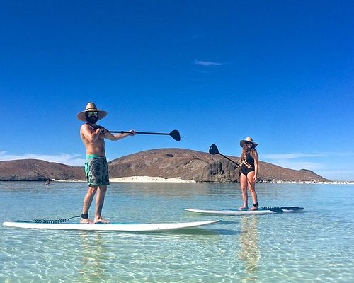 THE 5 BEST La Paz Stand-Up Paddleboarding (Updated 2023)