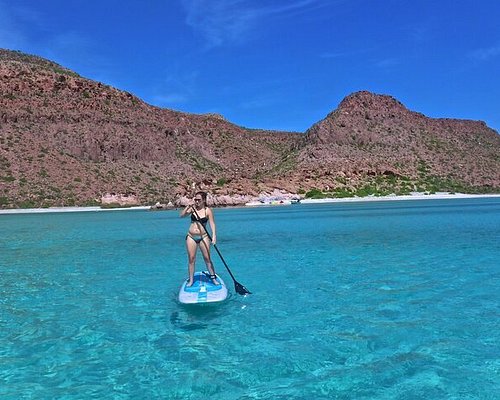 la paz boat tour