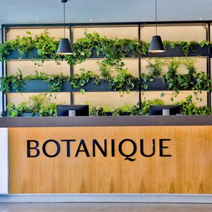 Modern hotel in the heart of Prague simply inspired by nature