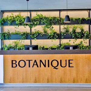 Botanique Hotel Prague in Prague, image may contain: Potted Plant, Planter, Table, Reception