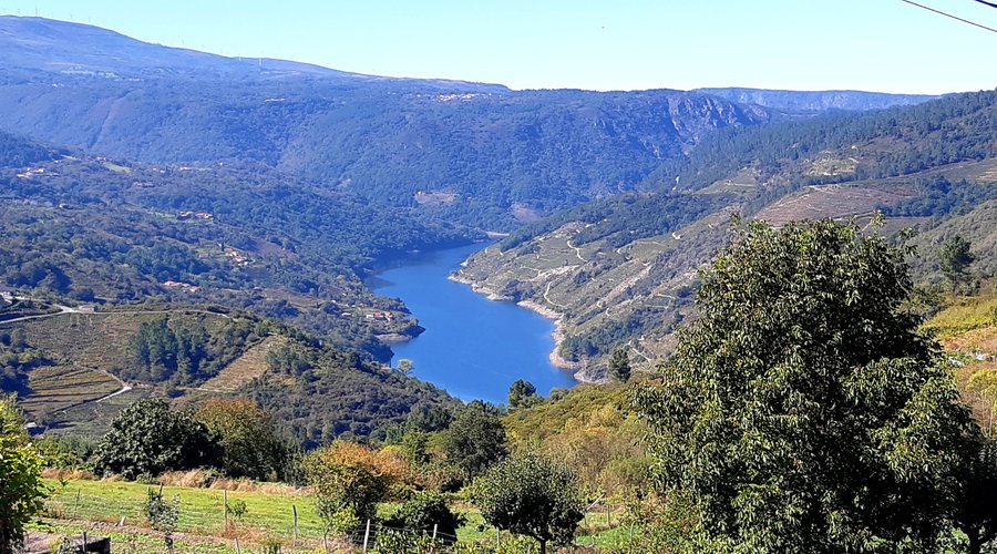 VISTAS DESDE LA TERRAZA