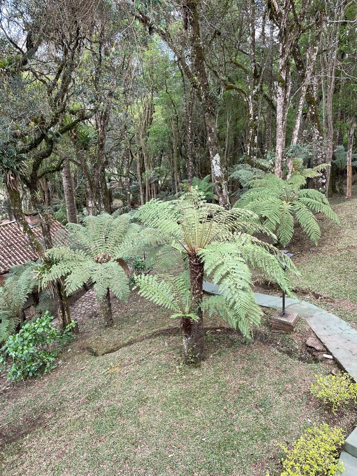 Hotel Pião Mineiro, Monte Verde – Preços 2023 atualizados