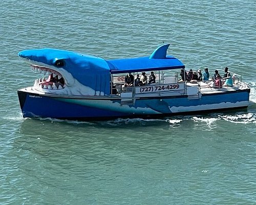dolphin tours near st pete beach
