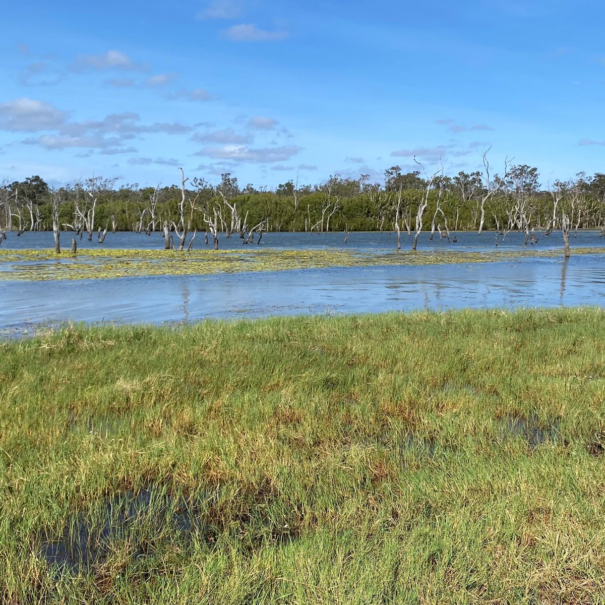 Mount Garnet - Wurruma Swamp: All You Need to Know