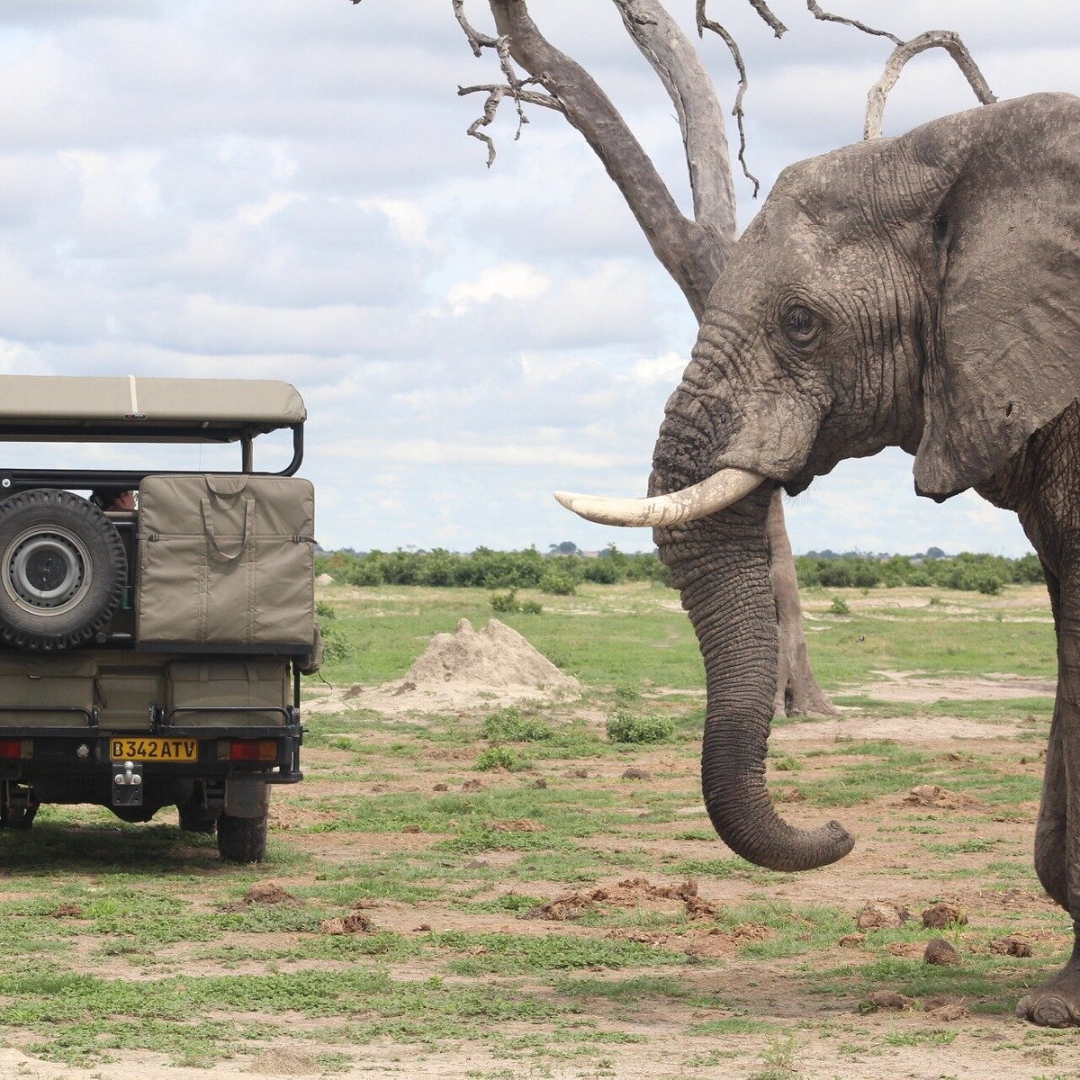 real africa safaris botswana