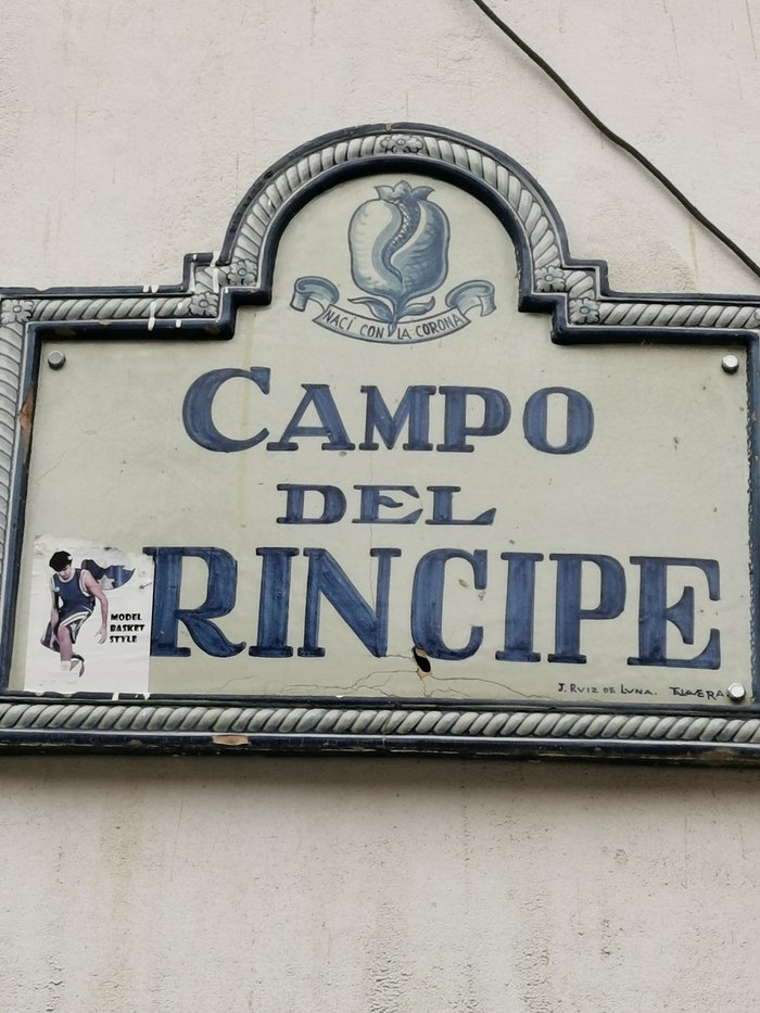 Imagen 9 de Campo de Principe