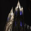 Lvdolphins420