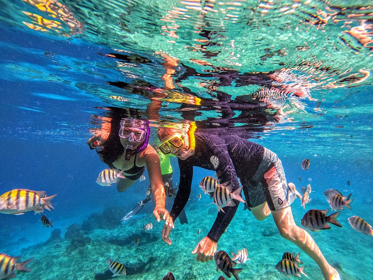 Introducir 53+ imagen snorkeling in cozumel reviews