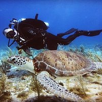 scuba total cancun reviews