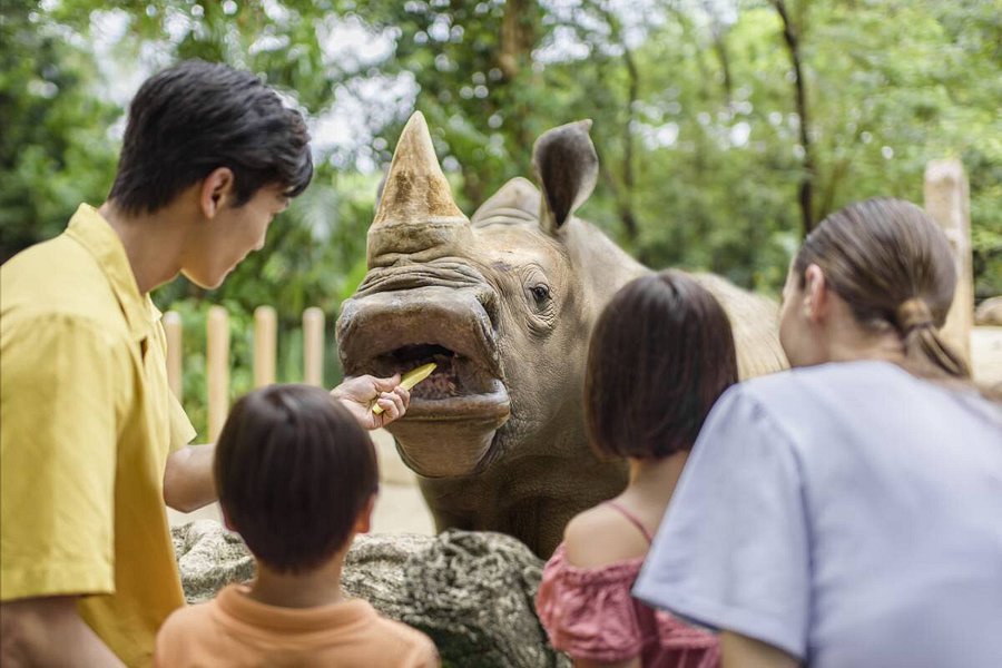 singapore zoo tourist