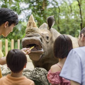 amazon river safari singapore