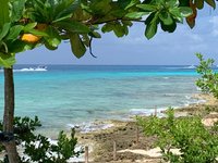 PalMar Snorkel Beach Club (Cozumel) - All You Need to Know BEFORE You Go