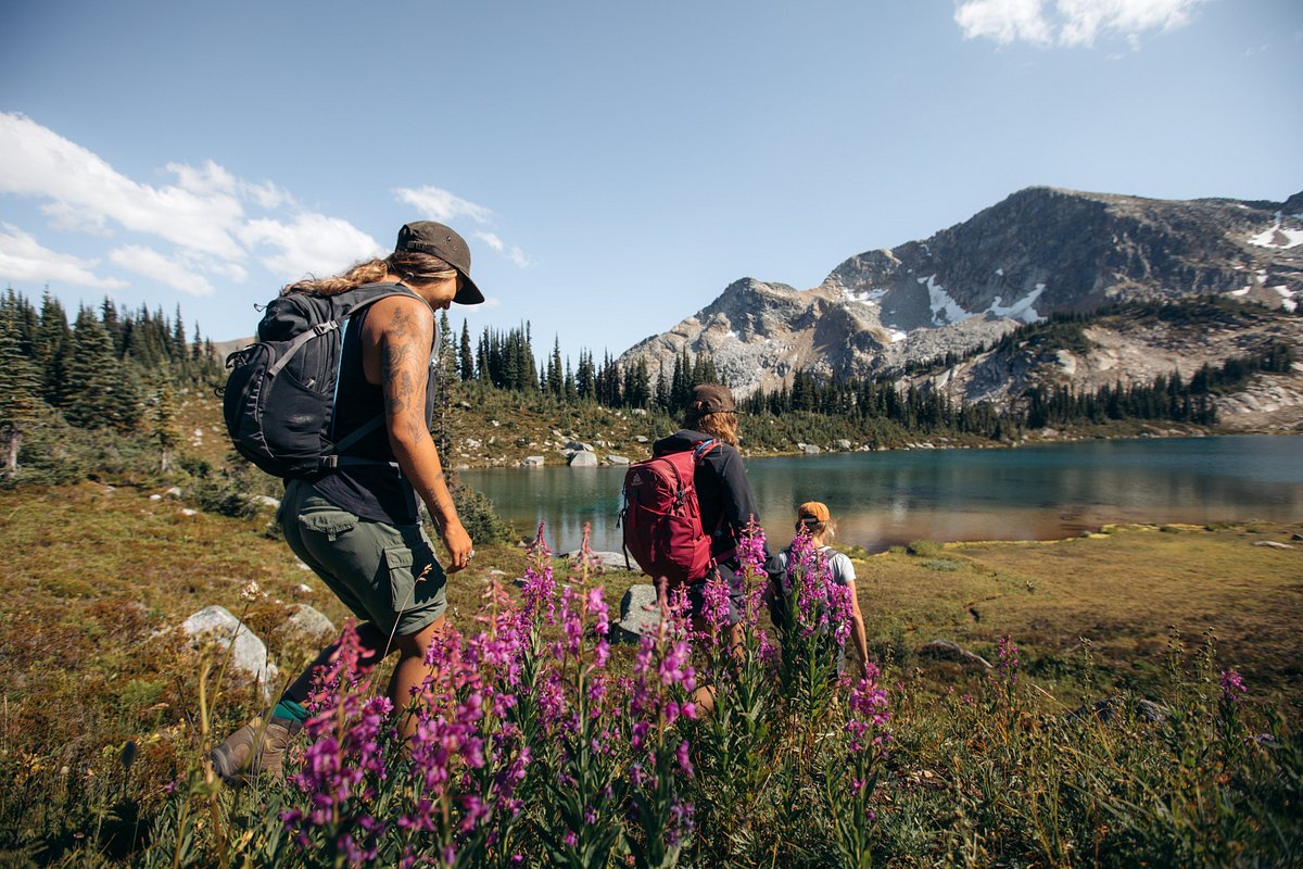 Summer Hiking Experiences at Whitecap Alpine - Whitecap Alpine