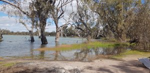 Wooroonook Lakes (Charlton): All You Need to Know BEFORE You Go