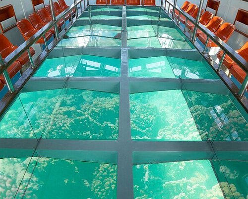 glass bottom boat tour aqaba