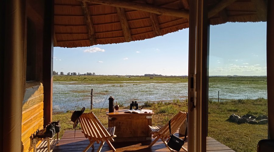 Un deck para disfrutar de las vistas y el avistamiento de aves en el humedal