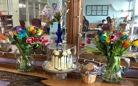 Pawsitivitea Cny Cafe & Cat Lounge