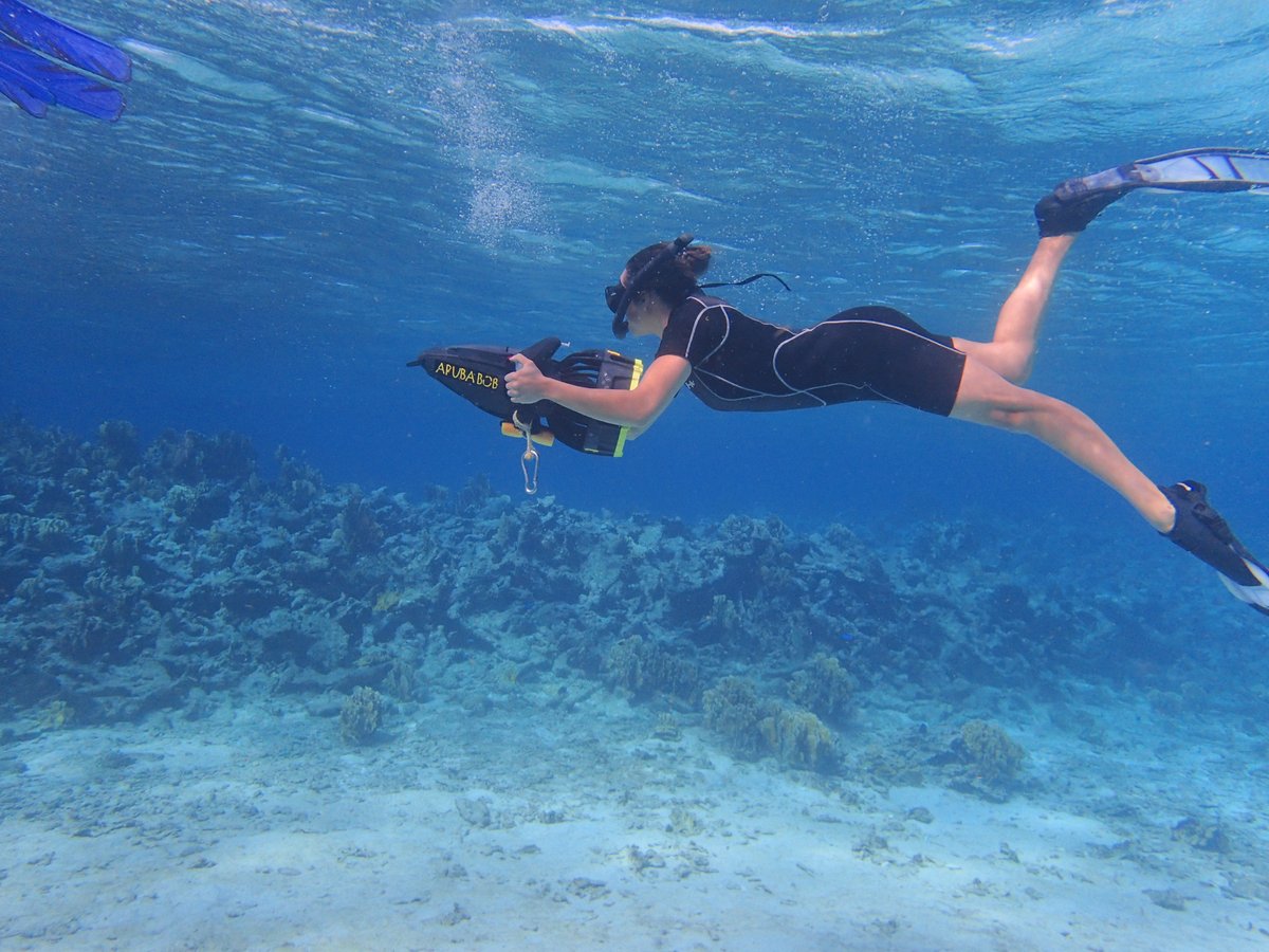 Aruba Bob Snorkel & Scuba - All You Need to Know BEFORE You Go