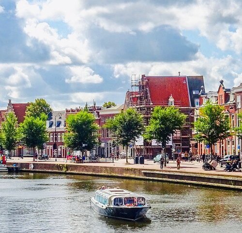 THE 15 BEST Things to Do in Haarlem - 2022 (with Photos) - Tripadvisor