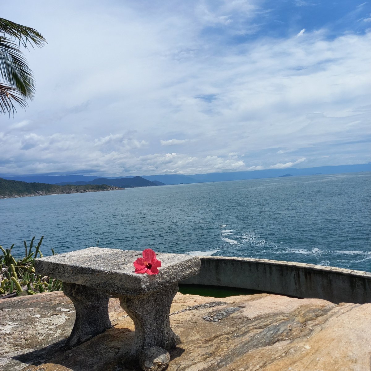 Ilha Dos Arvoredos Guaruja Lo Que Se Debe Saber Antes De Viajar