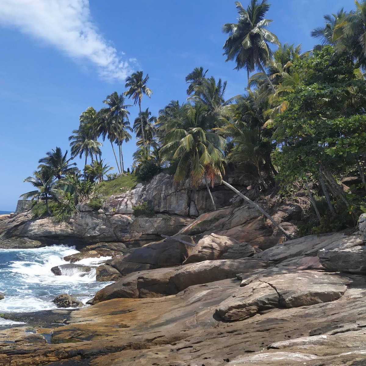 Ilha Dos Arvoredos Guaruja Lo Que Se Debe Saber Antes De Viajar