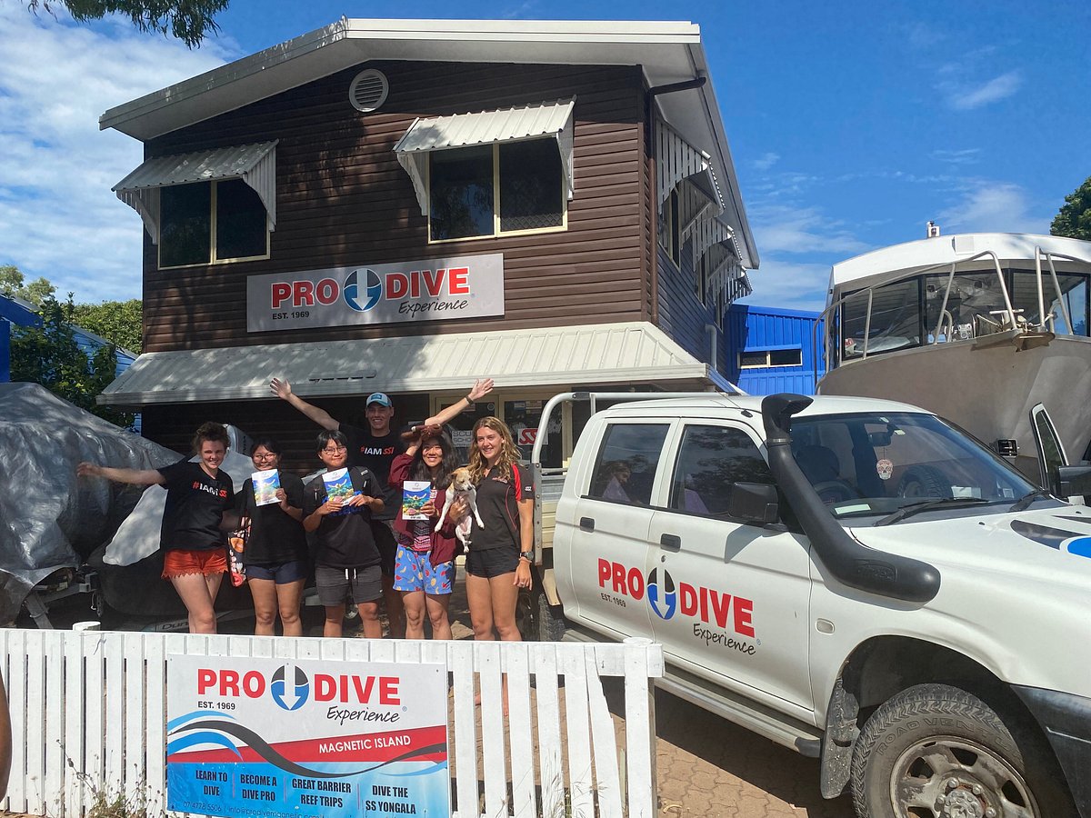 Pro Dive Magnetic Island - All You Need to Know BEFORE You