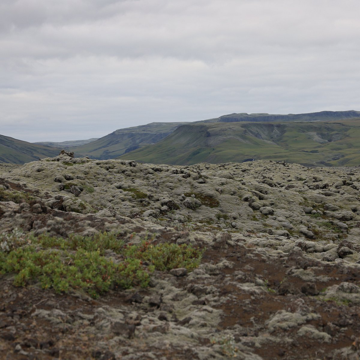 22年 Eldhraun Lava Field 行く前に 見どころをチェック トリップアドバイザー