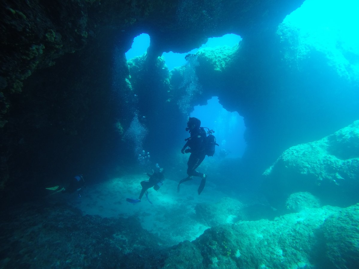 Amorgos Diving Center - All You Need to Know BEFORE You Go (2024)