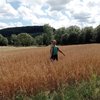 Gosia Ostafil