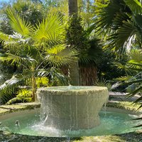 Miami Beach Botanical Garden - All You Need to Know BEFORE You Go (2024)