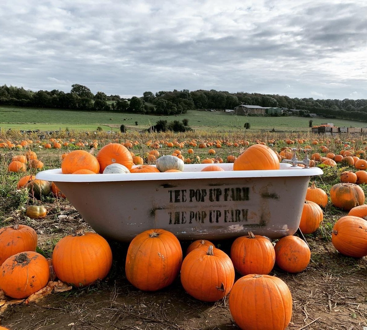 The Pop Up Farm (Redbourn): All You Need to Know BEFORE You Go