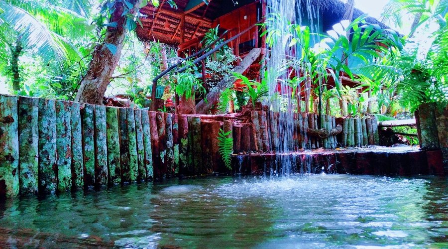 Natural swimming pool
