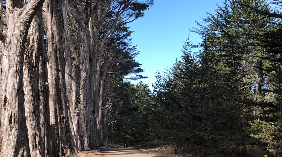 A beautiful trail that you can overlook the Pacific Ocean!!!