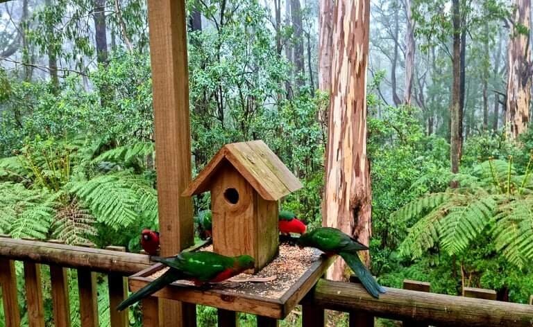 BARRAMUNGA CABINS - Campground Reviews (Australia)