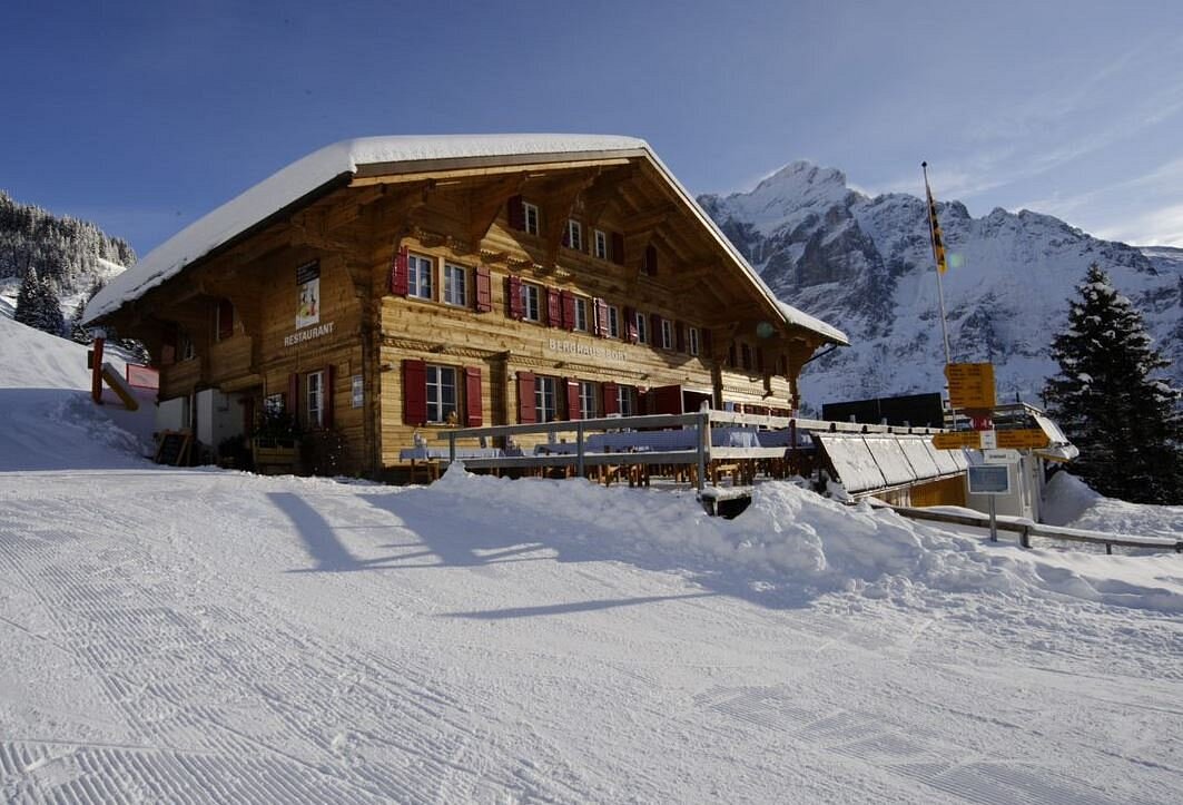 Alpinhotel Bort, hotell i Grindelwald