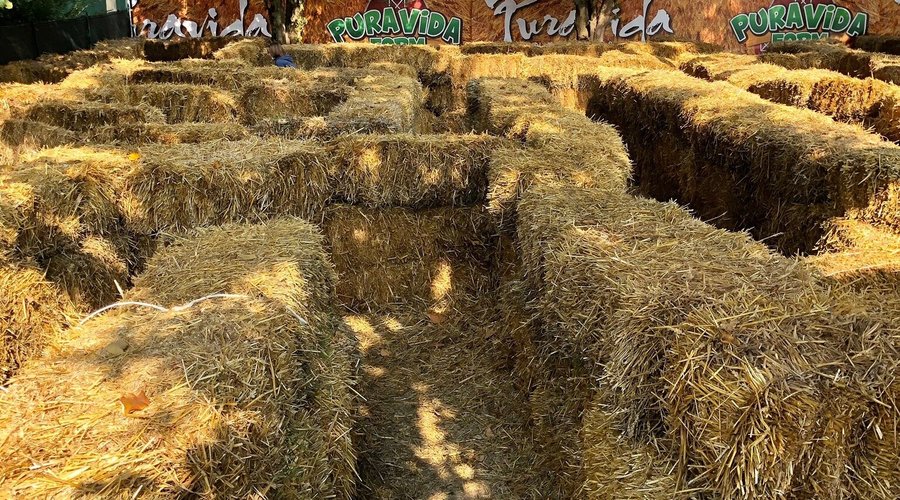 Il labirinto… uno dei tanti giochi del Villaggio delle Zucche