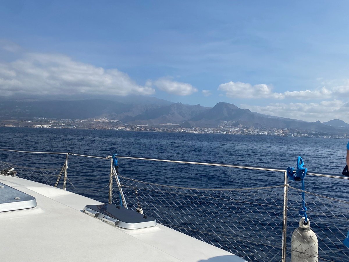 Eden Catamaran Playa De Las Americas Ce Quil Faut Savoir