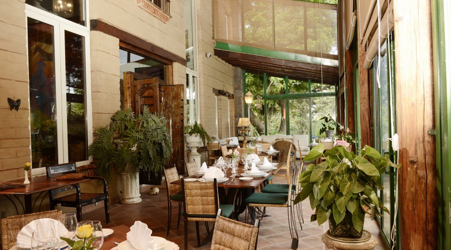 terraza comedor