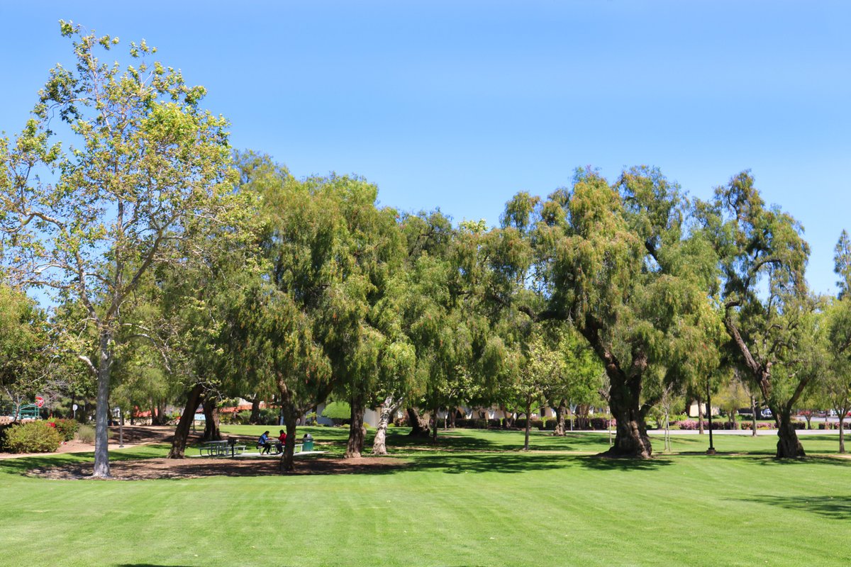 Nancy Bush Park (Camarillo, CA): Address, Phone Number - Tripadvisor